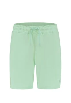 Regular Fit- Shorts - Mint