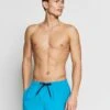 Quiksilver Everyday Volley 15 - Zwemshorts - Blithe