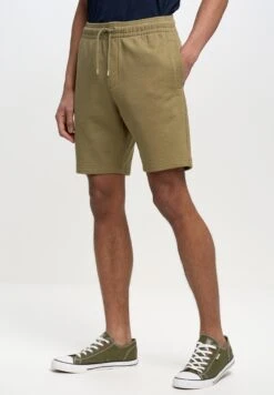 BIG STAR Kyrylo - Shorts - Grün