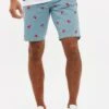 Threadbare Thbtropez - Shorts - Duck Egg Blue