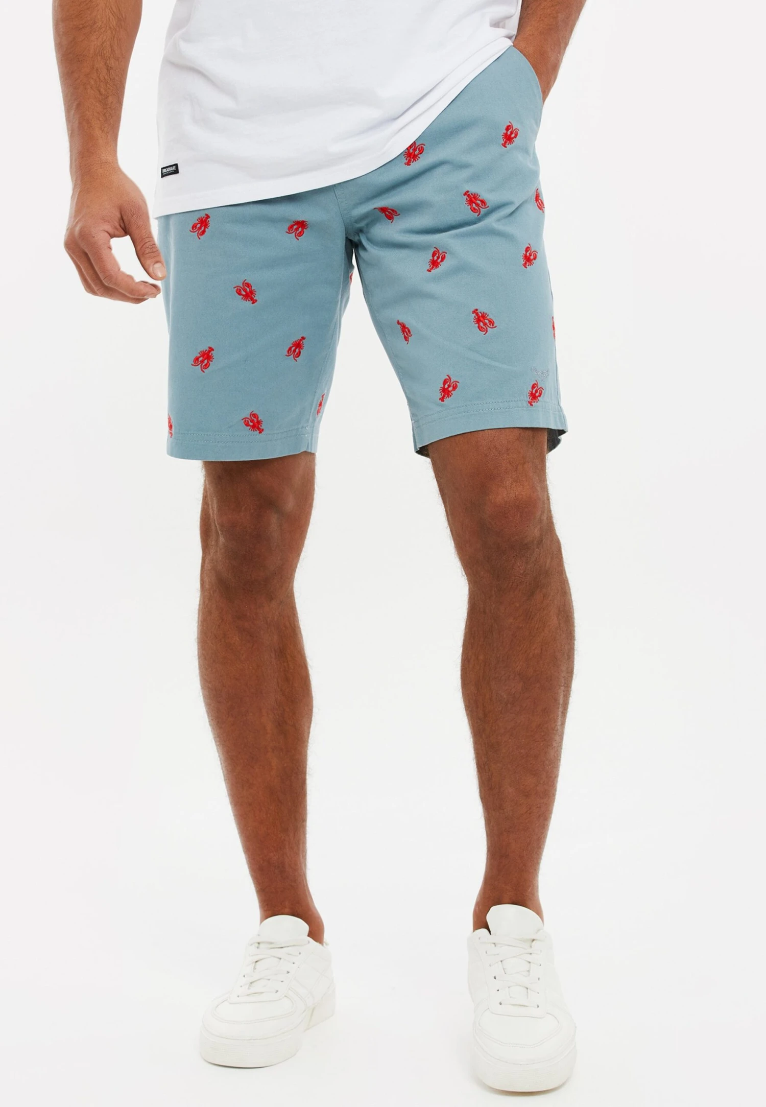 Threadbare Thbtropez - Shorts - Duck Egg Blue 1 Threadbare Thbtropez - Shorts - Duck Egg Blue