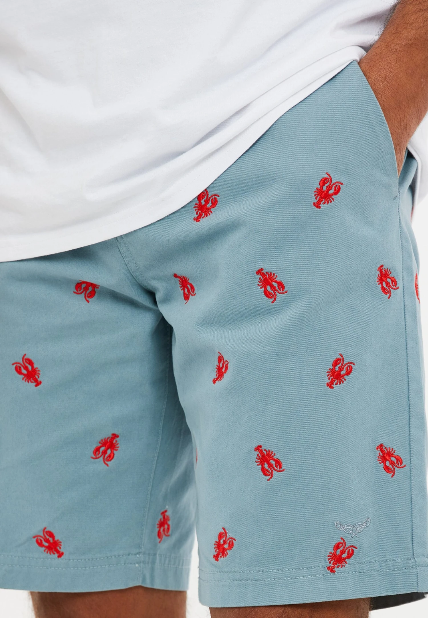 Threadbare Thbtropez - Shorts - Duck Egg Blue 4 Threadbare Thbtropez - Shorts - Duck Egg Blue - Afbeelding 4