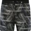 Tom Tailor Max - Zwemshorts - Black